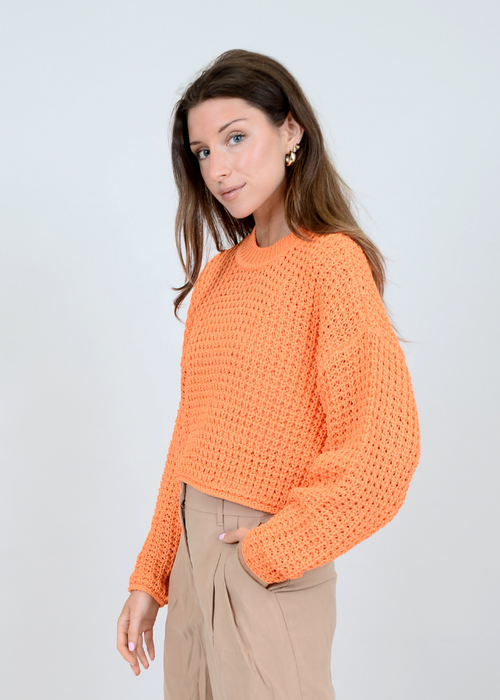 RD Style Darla L/S Crew Neck Pullover - Apricot-Hand In Pocket