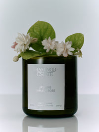 Flamingo Estate 8oz Candle - Jasmine Damask Rose-Hand In Pocket