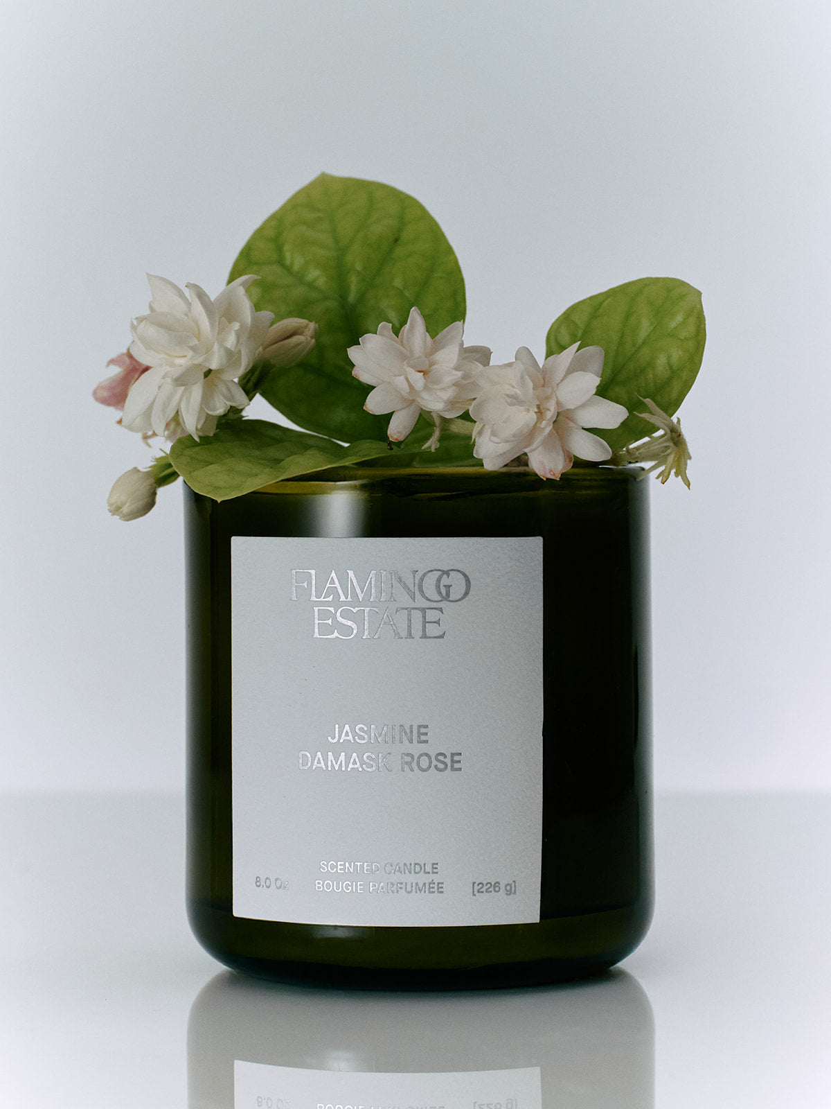 Flamingo Estate 8oz Candle - Jasmine Damask Rose-Hand In Pocket