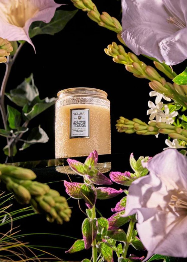 Voluspa 5.5oz Small Jar Candle - Jasmine Midnight Blooms-Hand In Pocket
