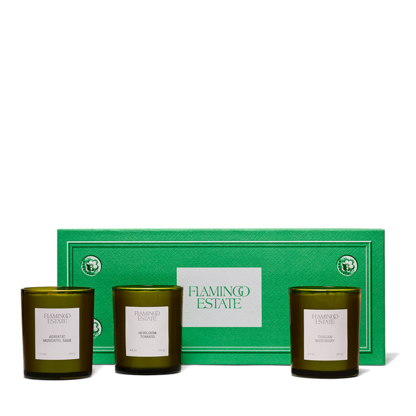 Flamingo Estate Three Sisters Set - Sage, Tomato, Rosemary-Hand In Pocket