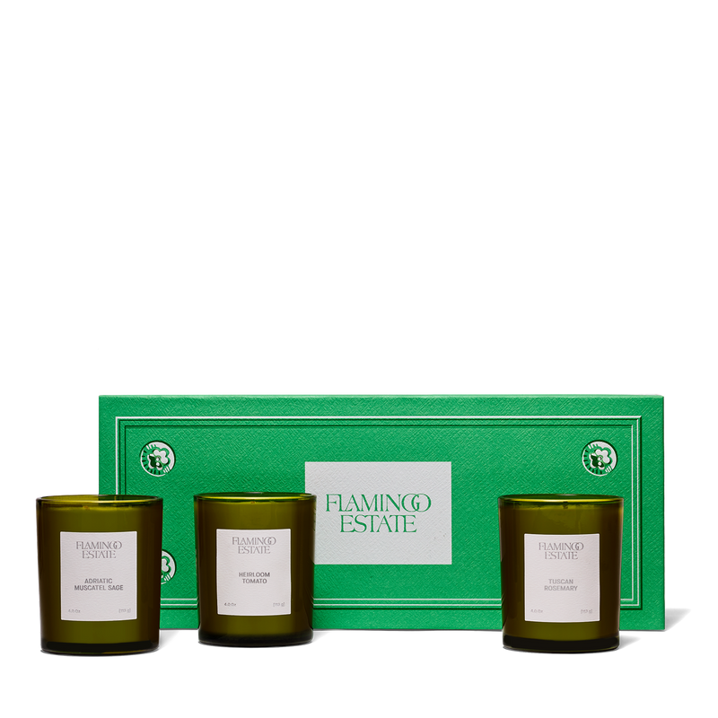 Flamingo Estate Three Sisters Set - Sage, Tomato, Rosemary-Hand In Pocket