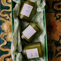 Flamingo Estate Three Sisters Set - Sage, Tomato, Rosemary-Hand In Pocket