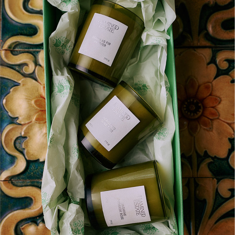 Flamingo Estate Three Sisters Set - Sage, Tomato, Rosemary-Hand In Pocket