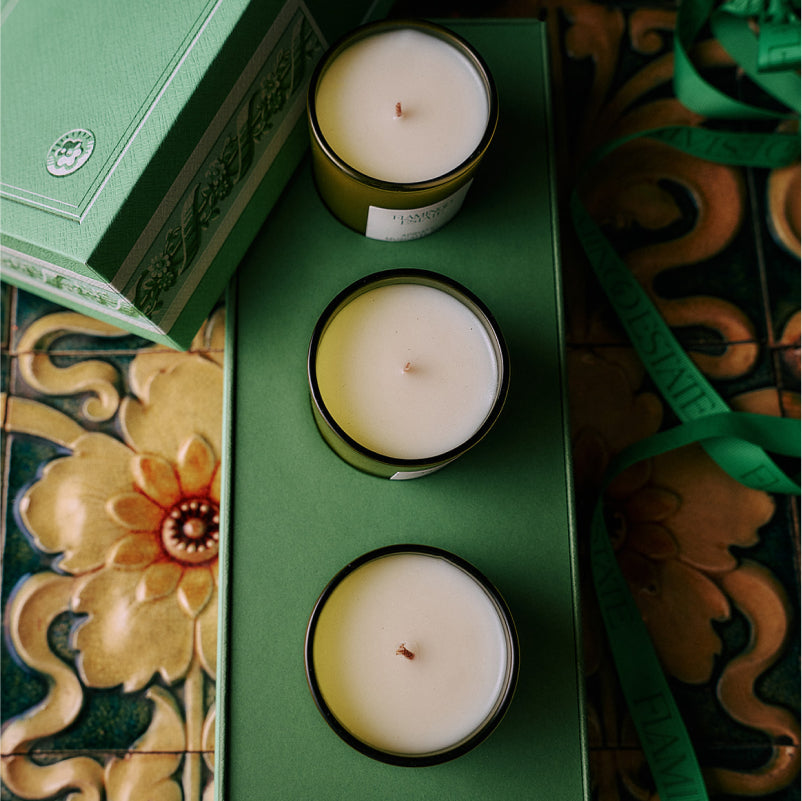 Flamingo Estate Three Sisters Set - Sage, Tomato, Rosemary-Hand In Pocket