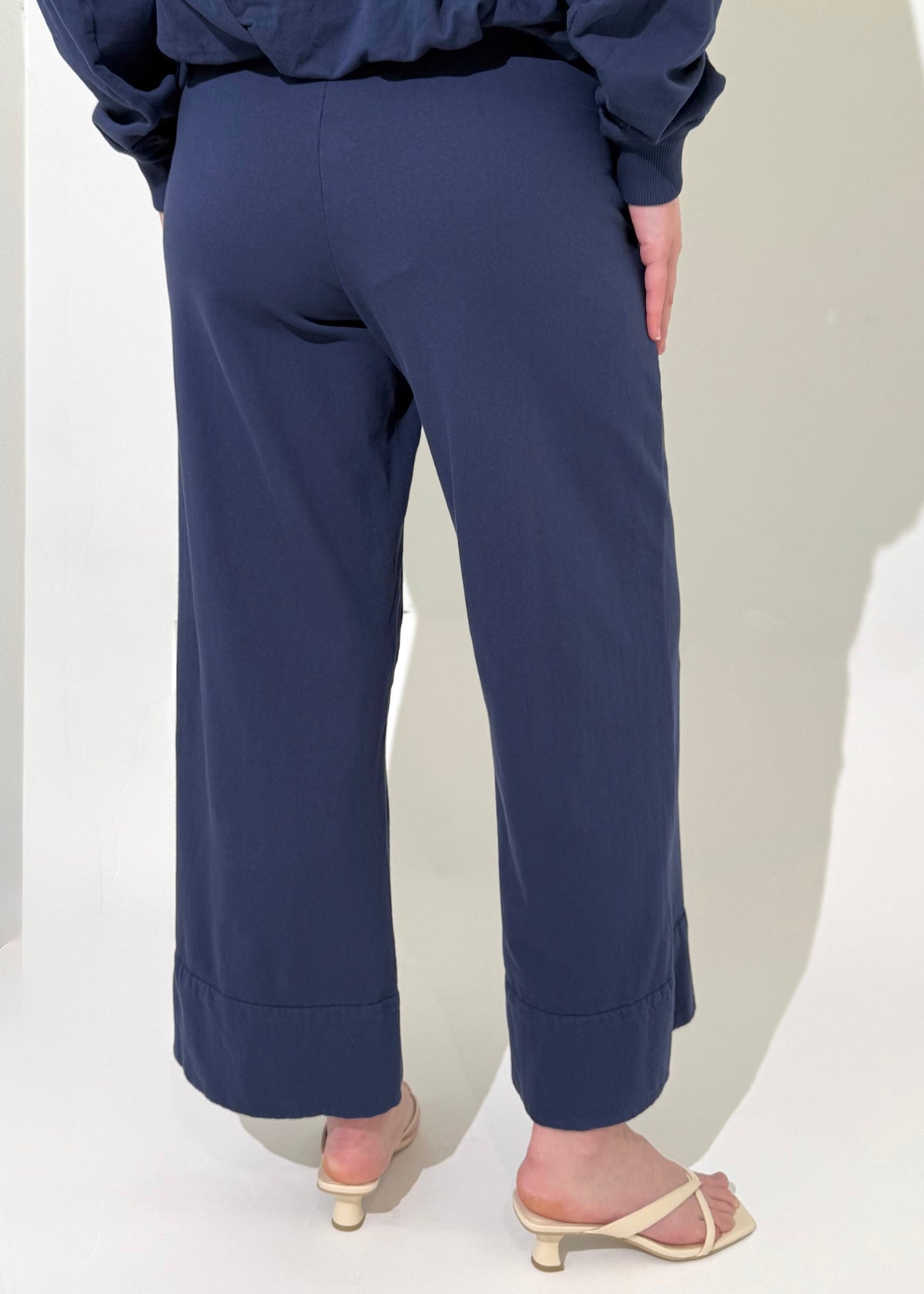 Michael Stars Sadie Drawstring Pant- Nocturnal-Hand In Pocket