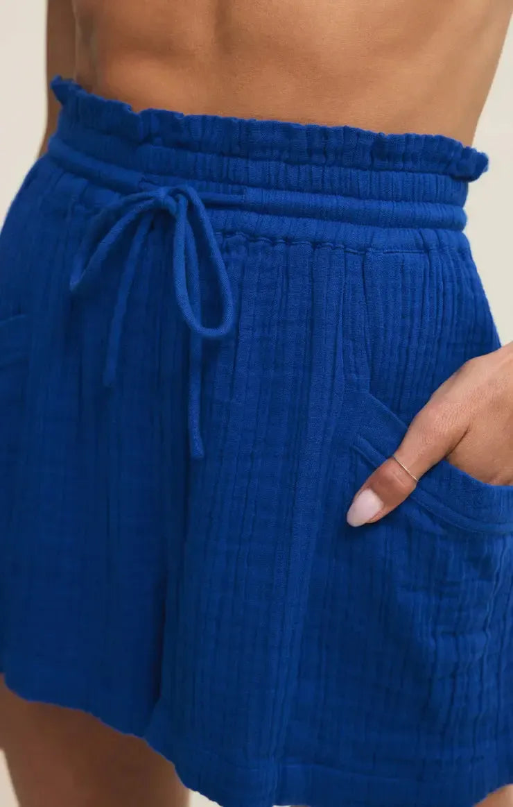 Z Supply Emory Short- Nautical-Hand In Pocket