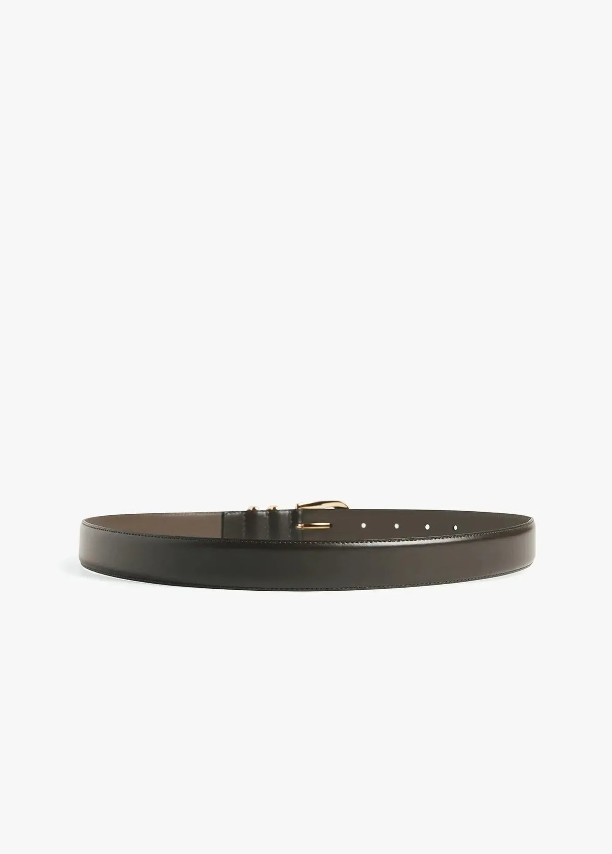Favorite Daughter The Jordon Belt - Dk Brown/ Gold-Hand In Pocket