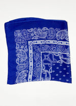 Cabana Scarf - Blue-Hand In Pocket