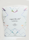 Capri Blue Gilded Muse Volcano Fragrance Reed Diffuser-Hand In Pocket